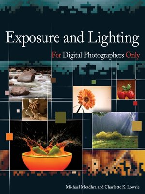 cover image of Exposure and Lighting for Digital Photographers Only